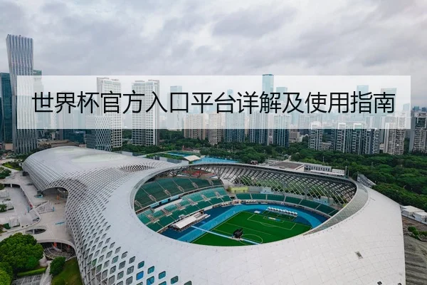 世界杯官方入口平台详解及使用指南