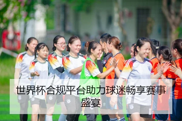 世界杯合规平台助力球迷畅享赛事盛宴
