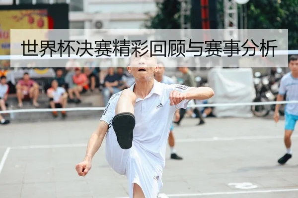世界杯决赛精彩回顾与赛事分析