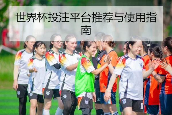 世界杯投注平台推荐与使用指南