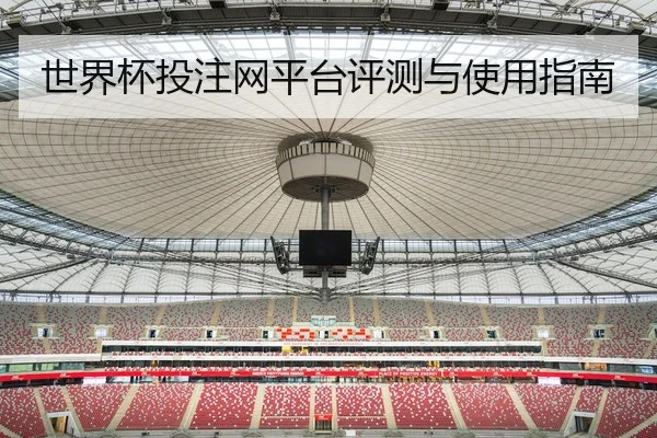 世界杯投注网平台评测与使用指南