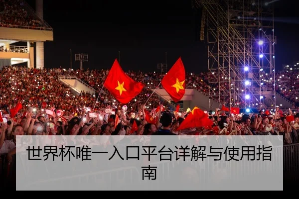 世界杯唯一入口平台详解与使用指南