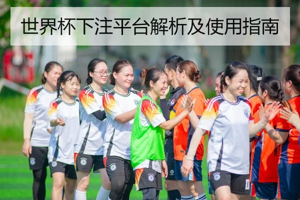 世界杯下注平台解析及使用指南