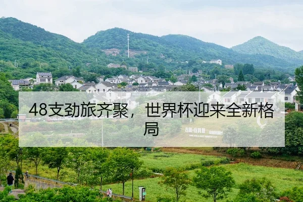 48支劲旅齐聚，世界杯迎来全新格局